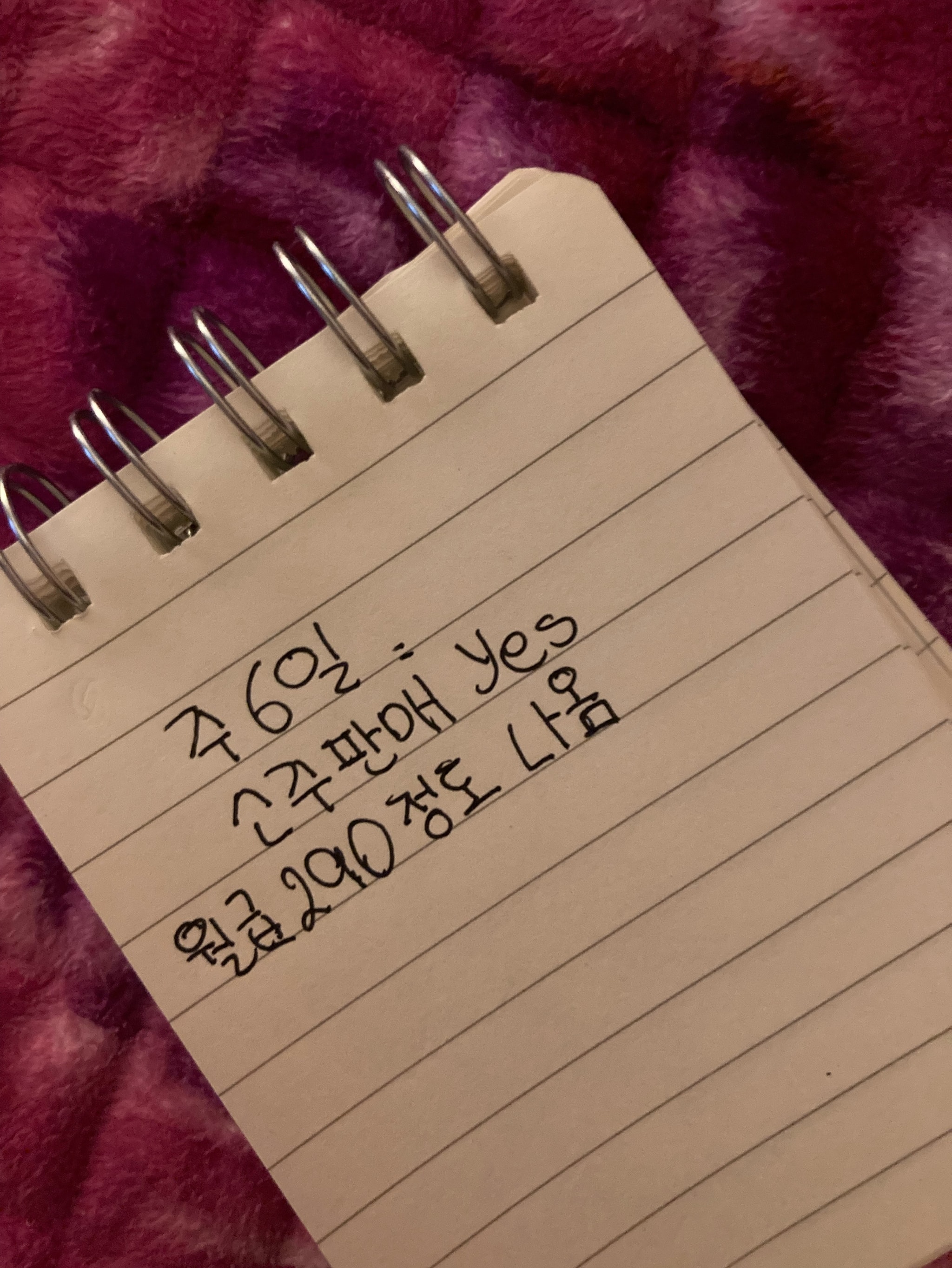 알바 할 곳 골라줘