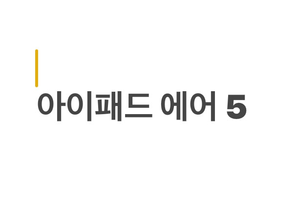 패디과인데 아이패드 뭐살까?