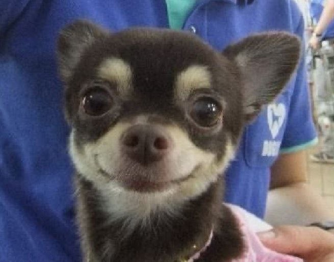 결혼식에 이정도 옷 괜찮아?