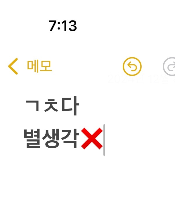 자기 썸남이 틱톡에 언니들이랑 햇던 디엠내용올리면