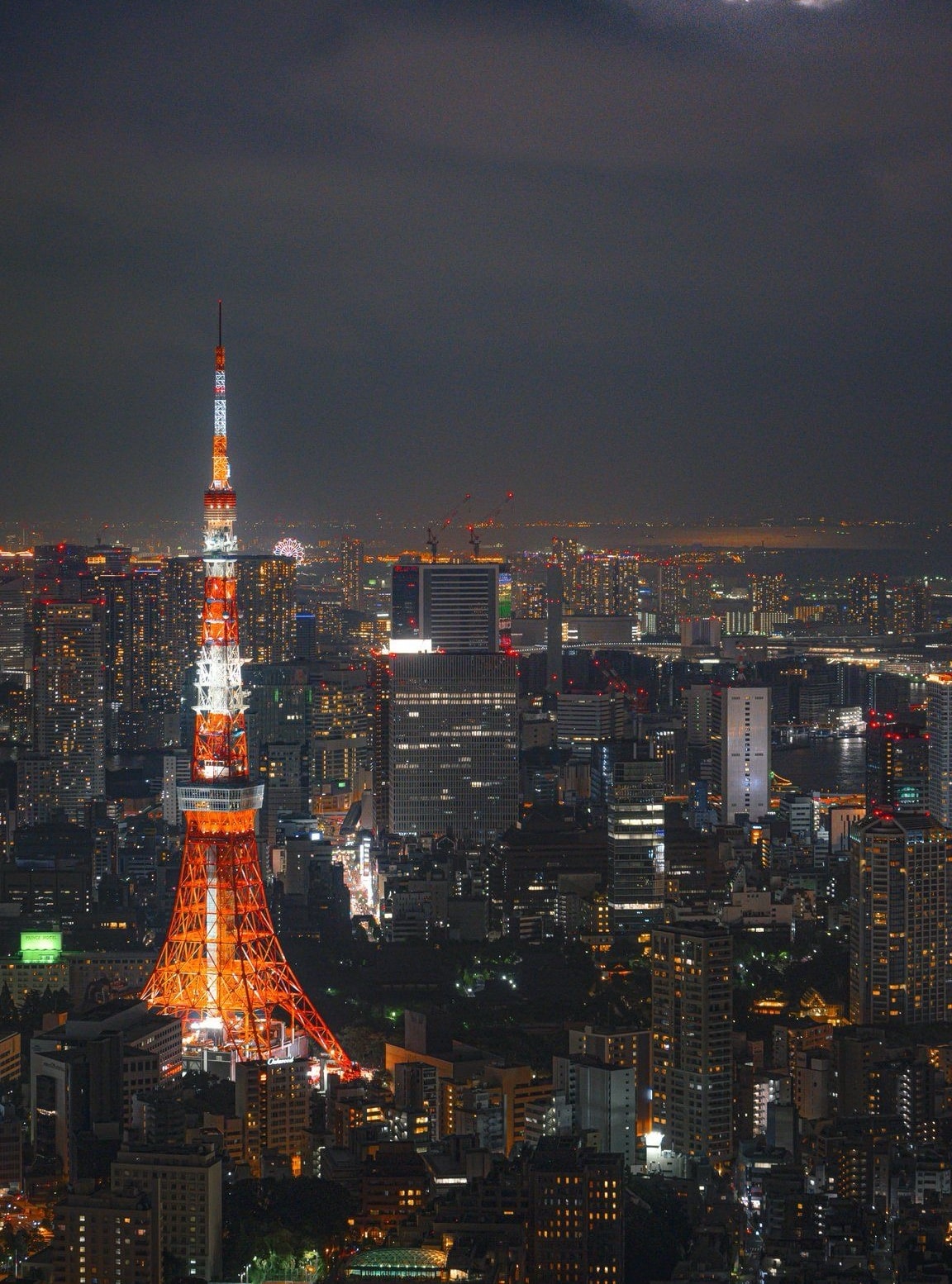 여행지 추천 상하이 vs 도쿄 어디가지