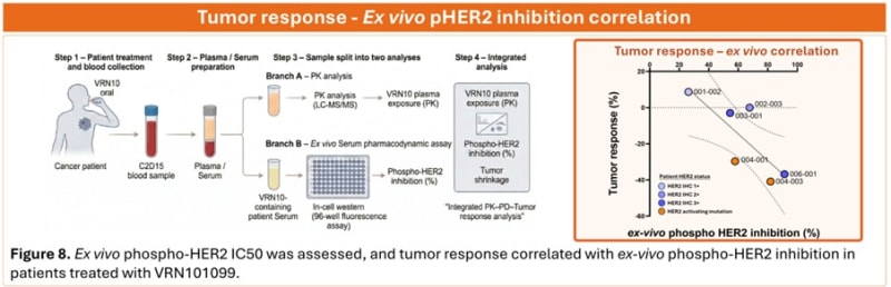 보로노이, AACR2026서 ‘VRN10’ 데이터 공개…HER2 치료 새 가능성 제시