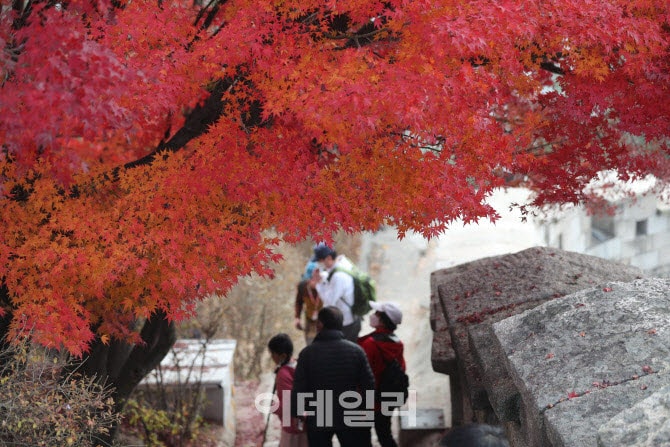 이달 30일 설악산서 단풍 시작···작년보다 빨라져