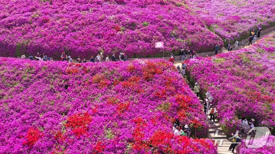 주말 '낮 최고 25도' 초여름 더위…낮과 밤 기온 차 20도 '주의'