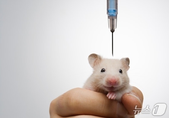 "생명 죽이는 극심한 고통 그만"…세계실험동물의 날, 목소리 커져