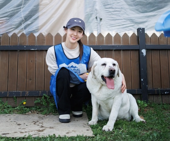 "입양으로 이어지길"…블루엔젤봉사단, 안성 보호소서 '소풍 봉사'
