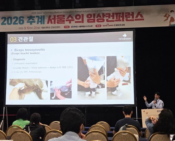 "집에선 분명 절뚝였는데"…병원 가면 멀쩡한 강아지, 이유는