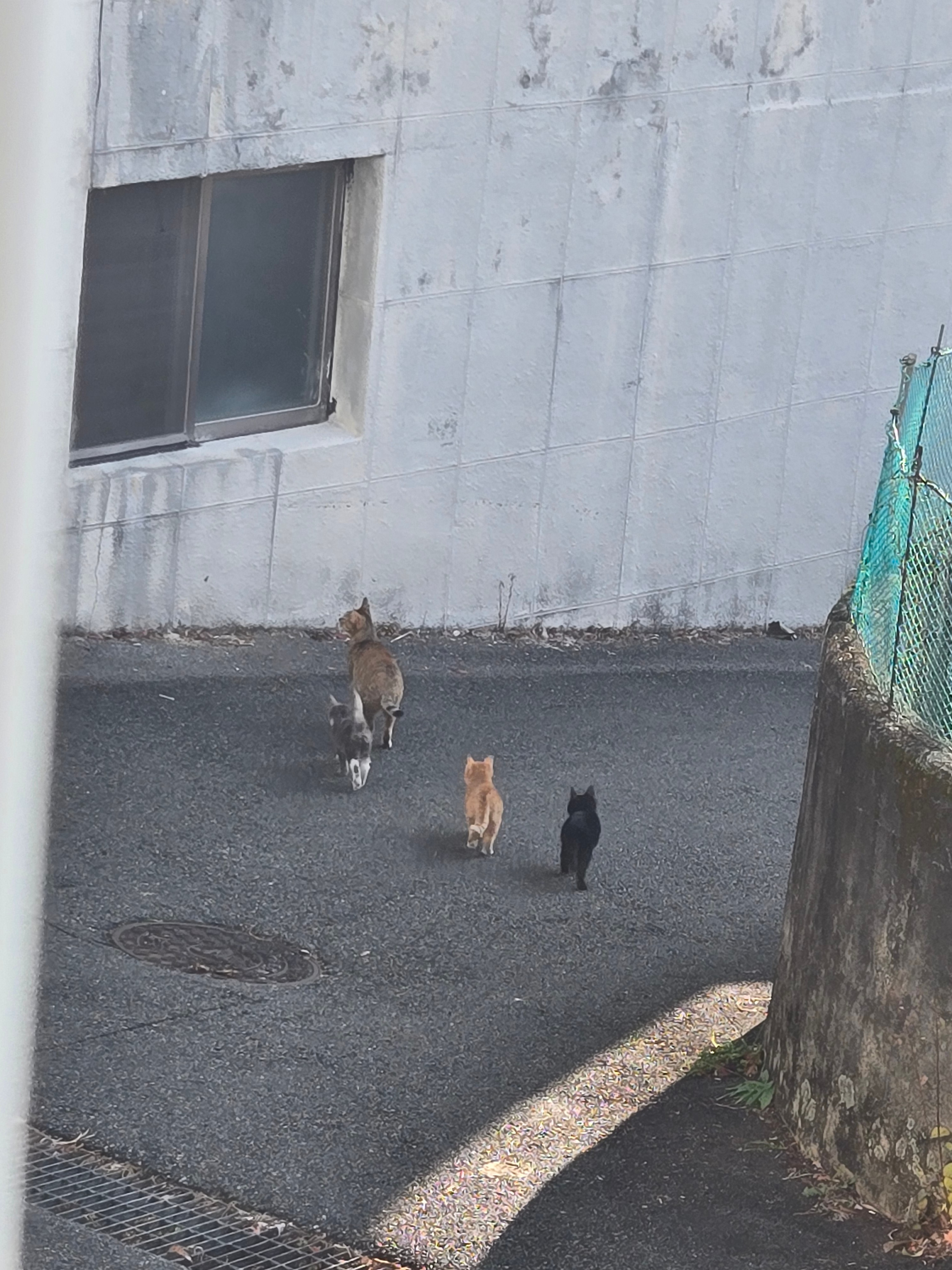 언니들 심장 조심해 아침 부터 귀여운 현장 발견