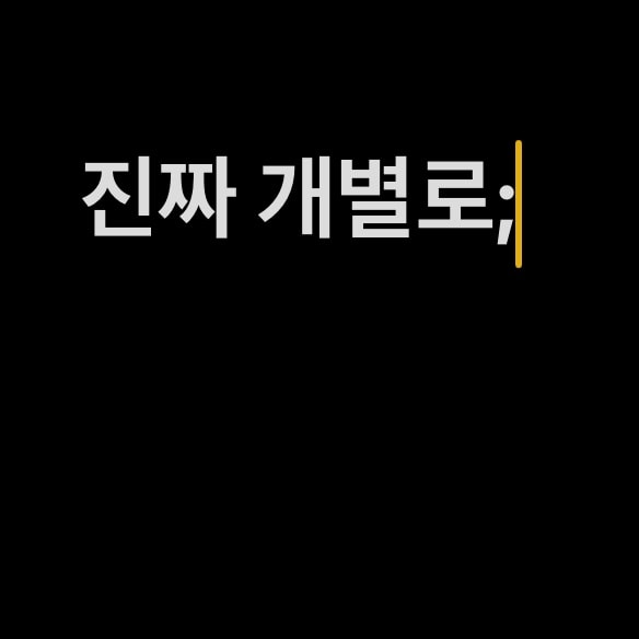 이 케이스 계속 끼고 다니면 보기 흉해?