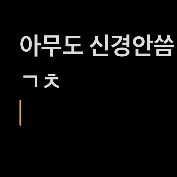 이 케이스 계속 끼고 다니면 보기 흉해?
