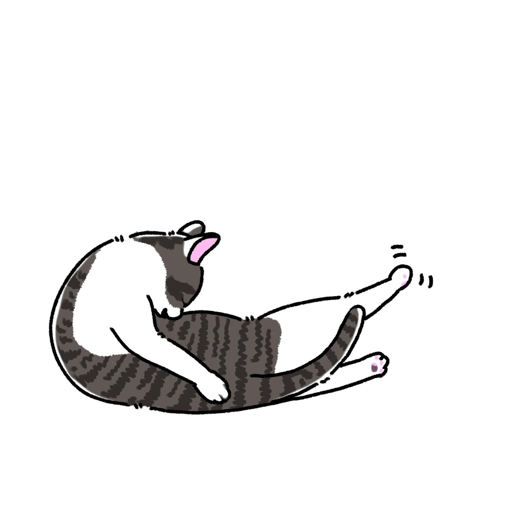 이번에 그린 그림중 가장 마음에 드는 고양이