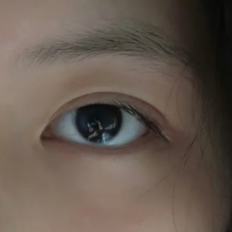 쌍수한 겉쌍 vs 무쌍