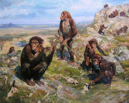 comment image 1