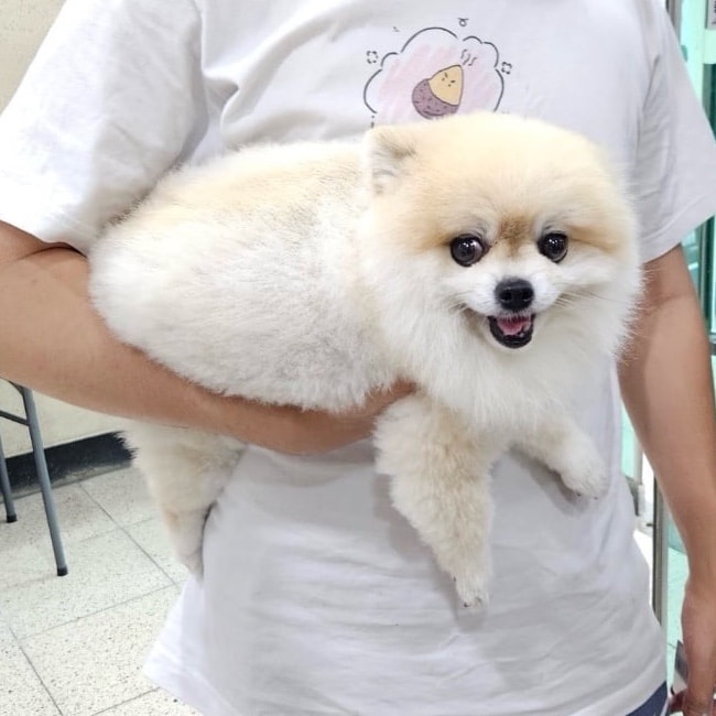 세븐틴 콘서트 가 말아 골라줘