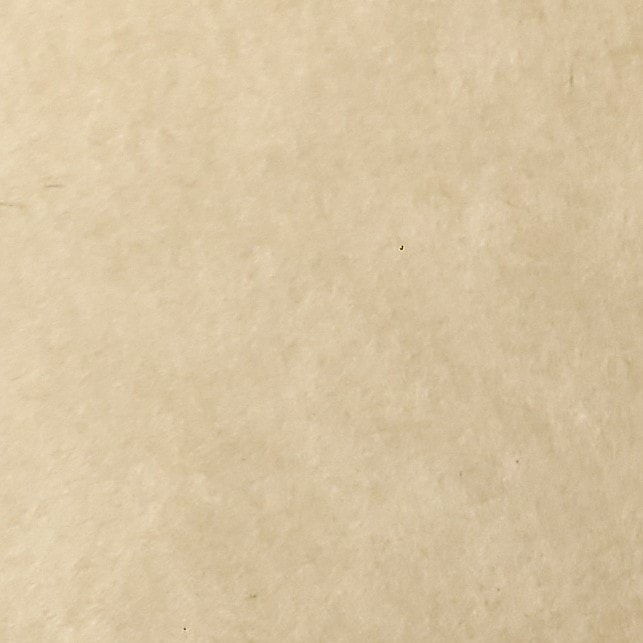 자취하는 언니들은 배달vs요리vs둘다