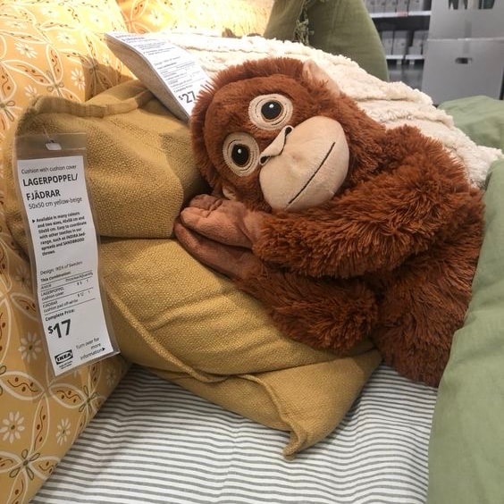 지금 삼전 살 vs 말