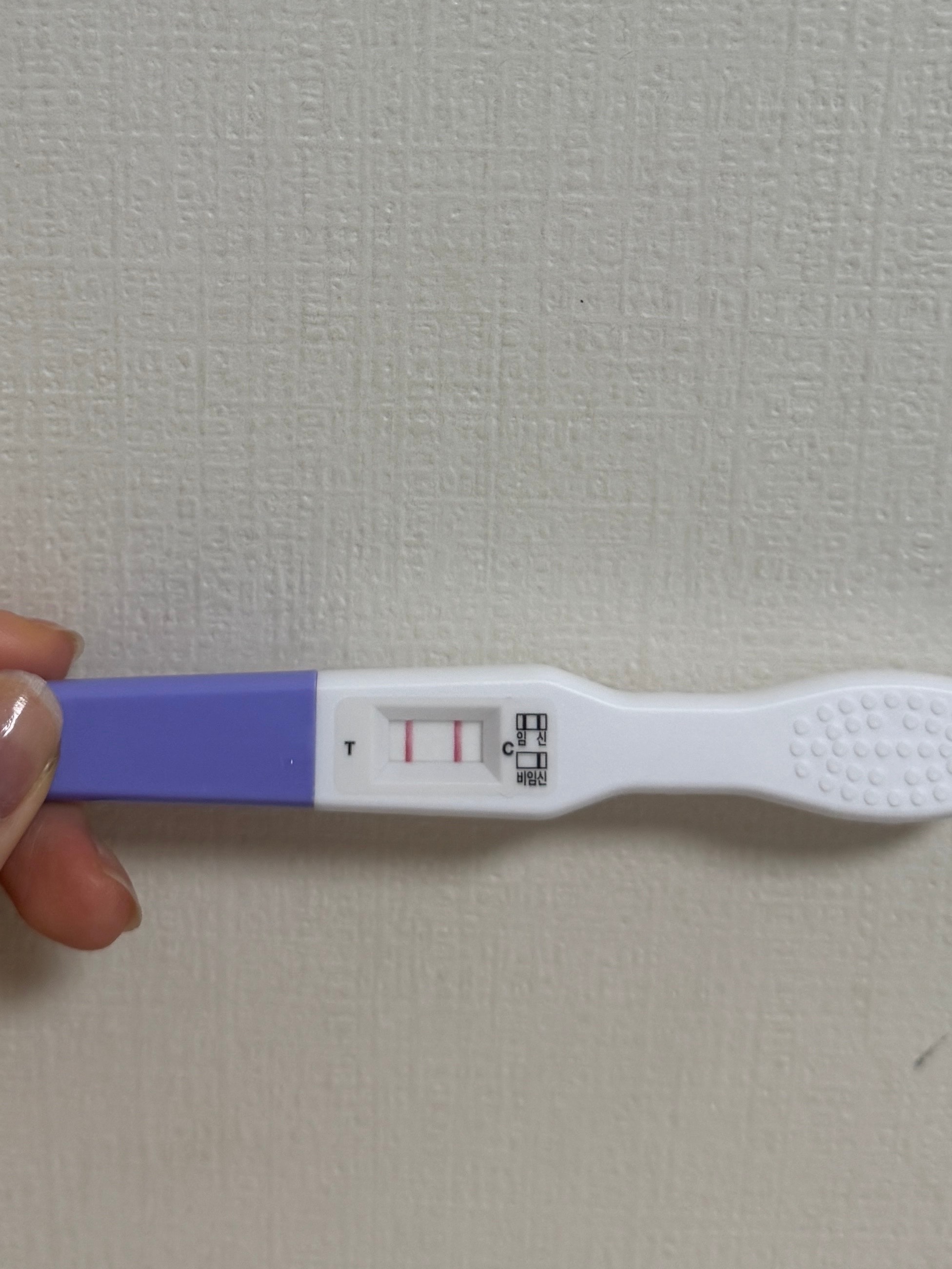 이거 임신이야..?