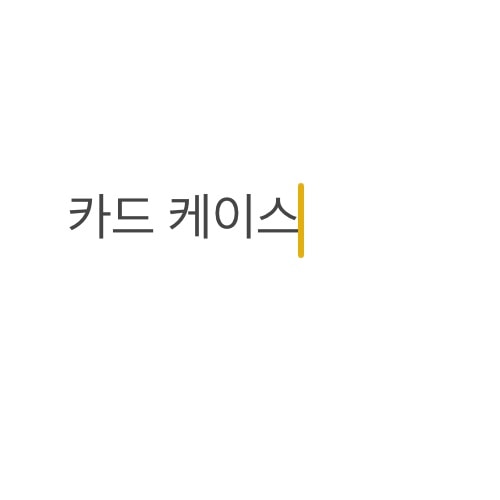 아이폰 쓰는 언니들 폰케이스 뭐씀
