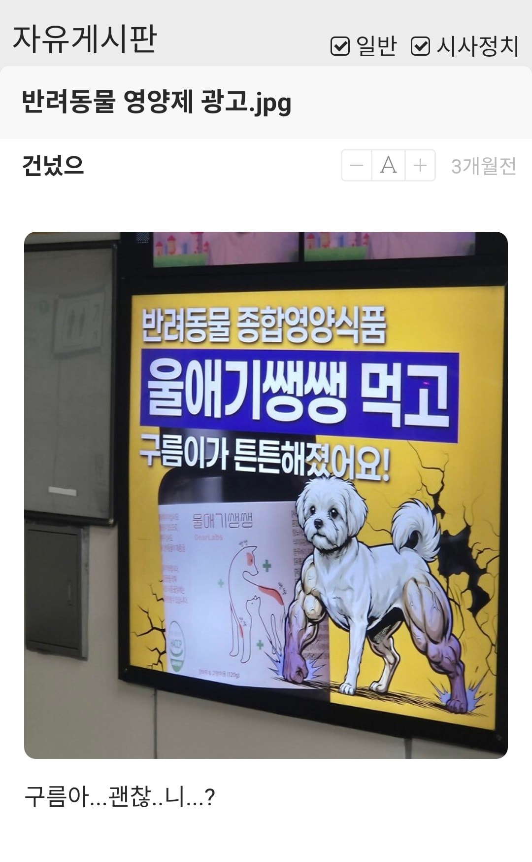이거 영양제 광고 본 언니 있나?