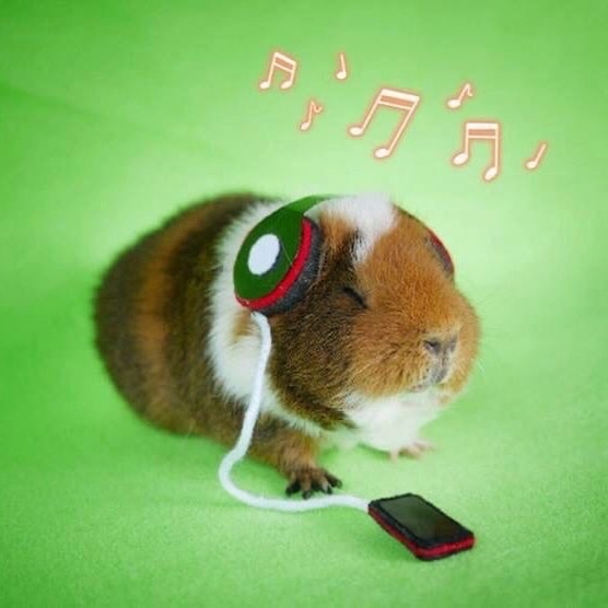 스탠리텀블러무슨색살까