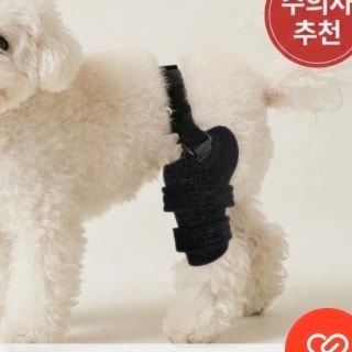 슬개골 보호대 뭐가 더 나아? 추천도 좋아!!