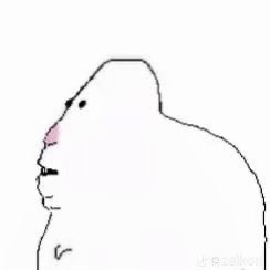 인스타비계프사골라쥬세용