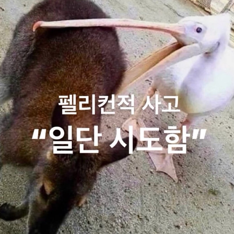 뚱뚱한데 얼굴 ㄱㅊ은 남자