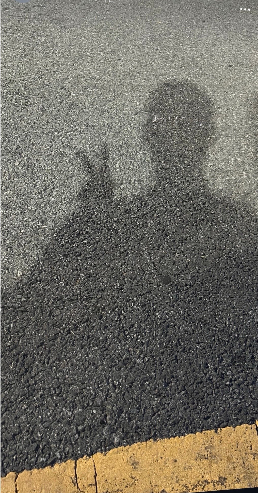 comment image 1