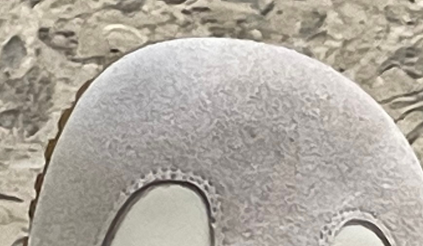 comment image 1