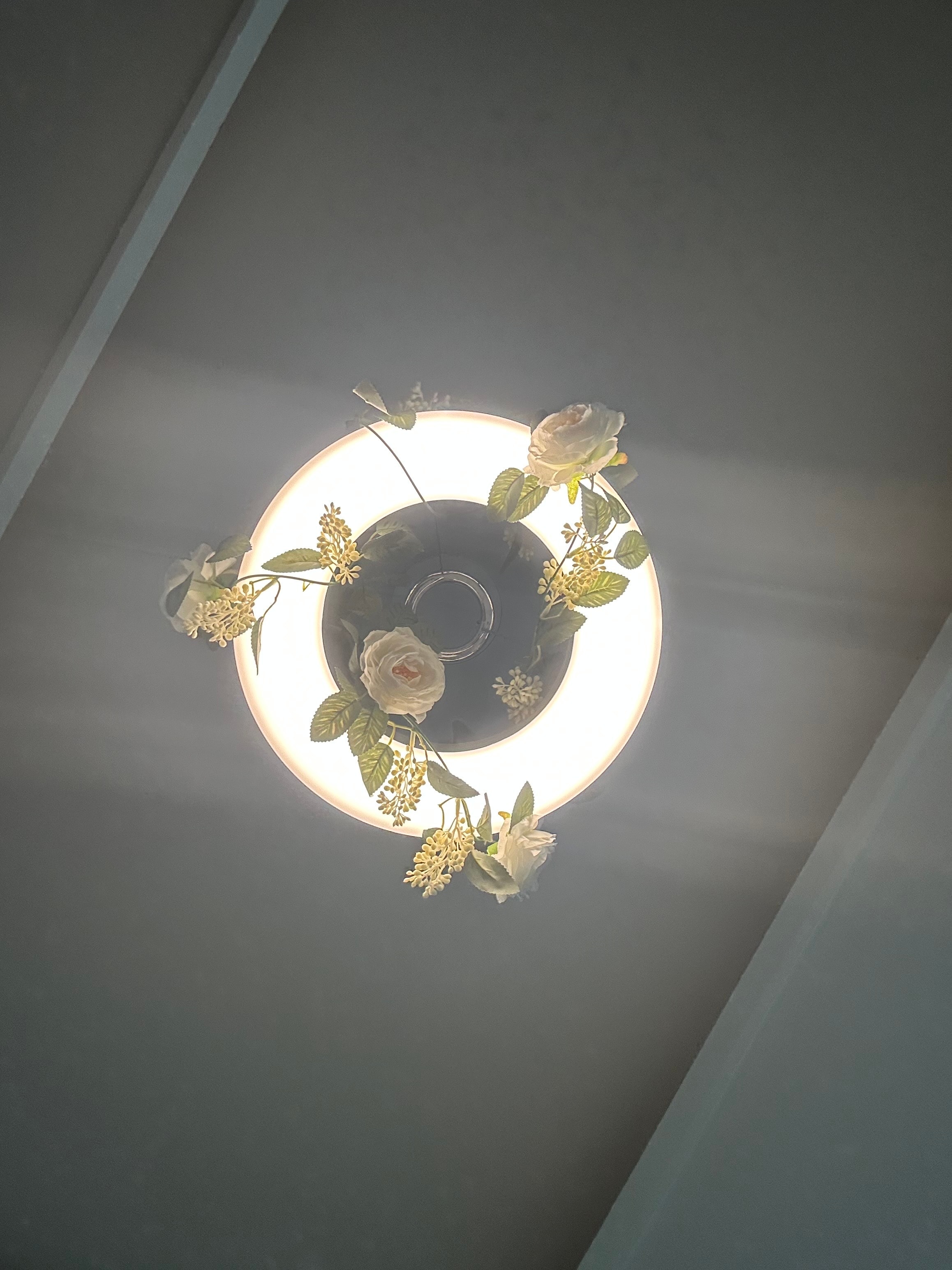 급해 이거 개밤티야???