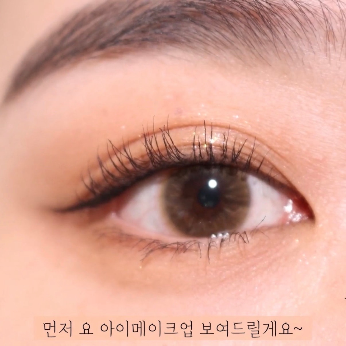 같은 섀도우로 다른버전인데 어떤게 나아?