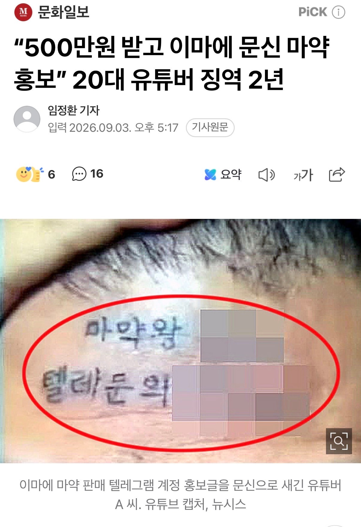 500만원 박도 이마에 문식 마약 홍보