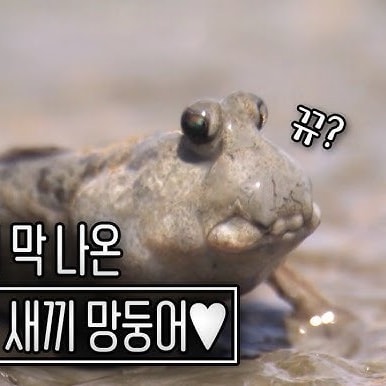 이거 무슨 사이야?