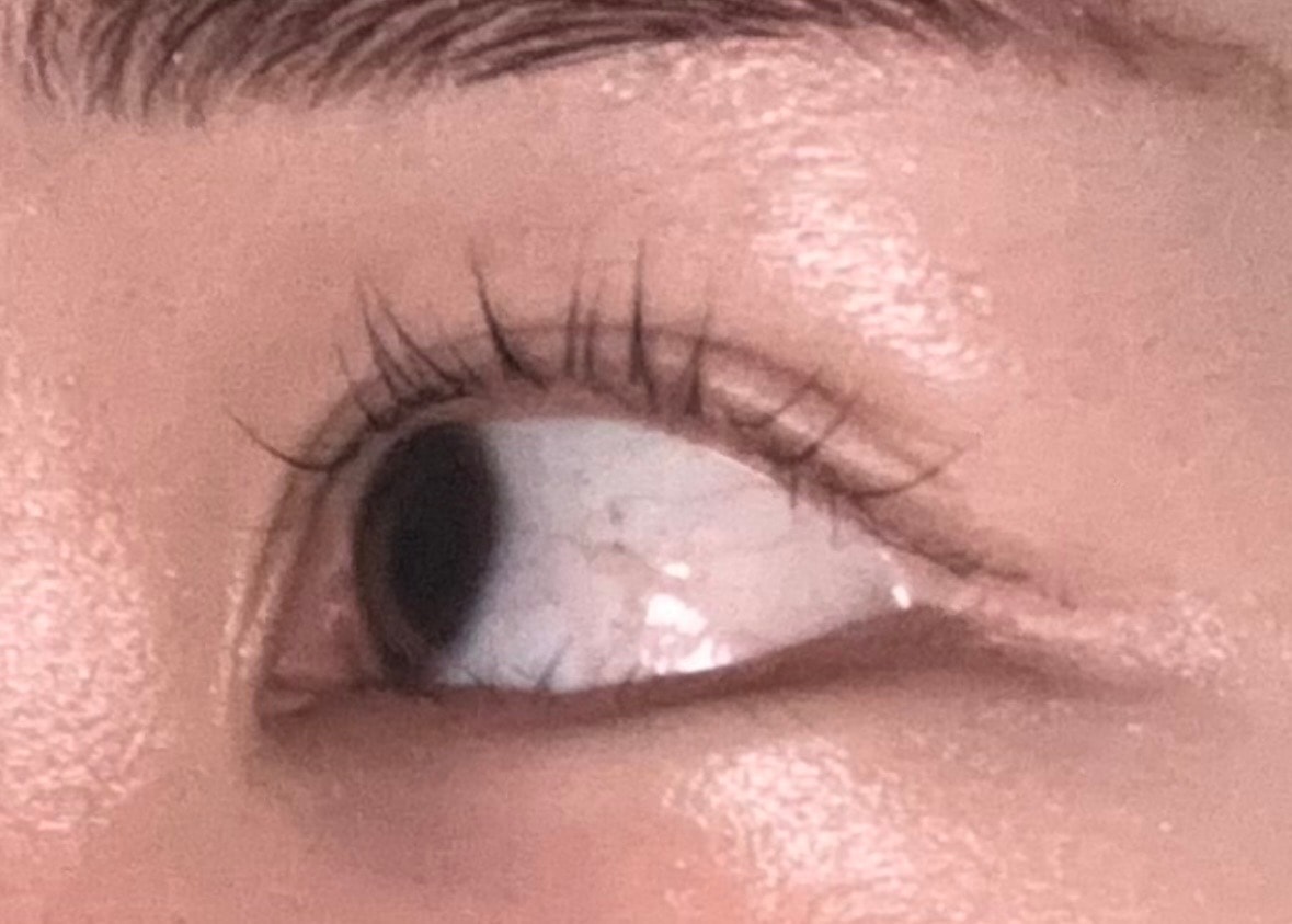 속눈썹 생장제 대박이지 않아?
